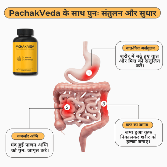 Pachak Veda Digestive Relief (Pack of 2)