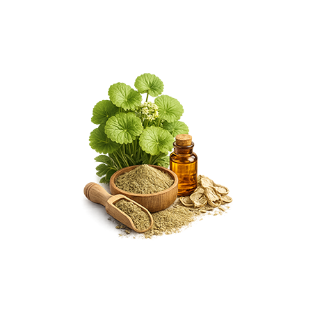 Centella (Gotu Kola)