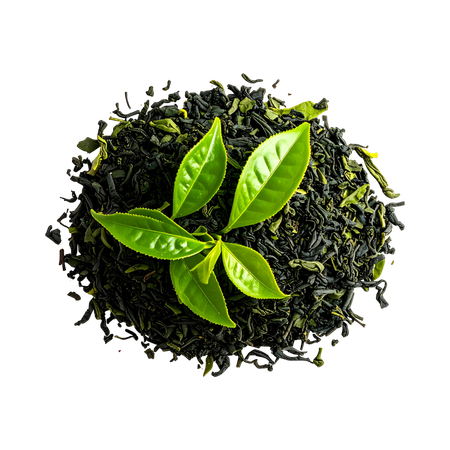 Green Tea Extract